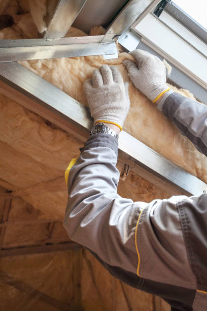 Best Best Insulation Companies  in George West, TX