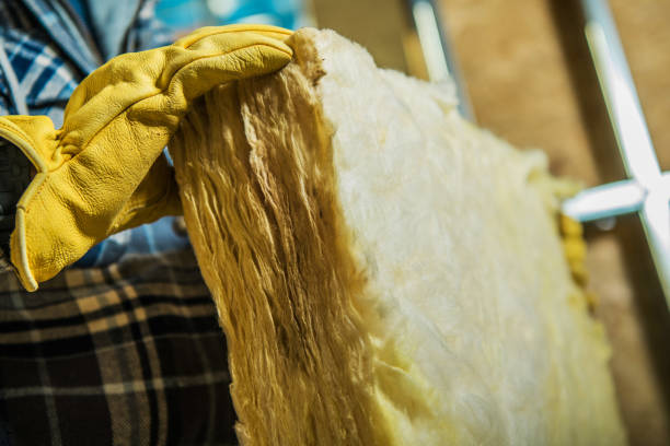 Best Insulation Repair Services  in George West, TX