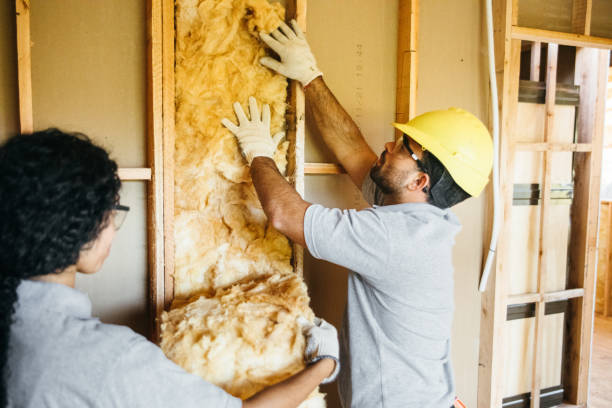 Best Residential Insulation Services  in George West, TX